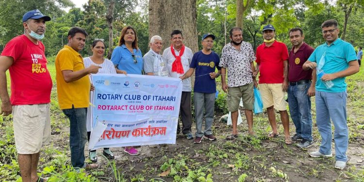 रोटरी क्लब अफ इटहरीले चारकोशे झाडी मा चार सय फलफुलका बिरुवा रोप्दै