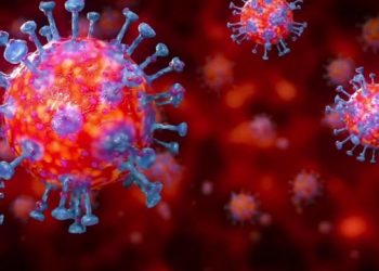 विद्यालयबाट फैलियो चीनमा कोभिडको लहर