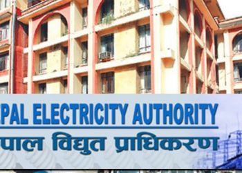 विद्युत प्राधिकरणले सहनिर्देशकदेखि मिटर रिडरसम्म ३२० जनाको दरखास्त माग्यो