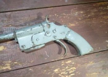 सर्लाहीको ब्रह्मपुरीबाट पेस्तोल सहित एक किशोर पक्राउ