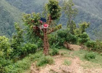 दुर्गममा जुक्ति : रुखमै डेरा बनाएर अनलान कक्षा