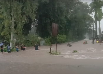 लगातार परेको पानीका कारण इटहरीको तरहरा डुबानमा