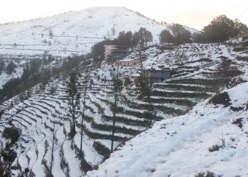 वर्षा संगै हिमपात परेकोले चिसोबाट बच्न आबस्यक सर्तक अपनाउनुहुन आग्रह