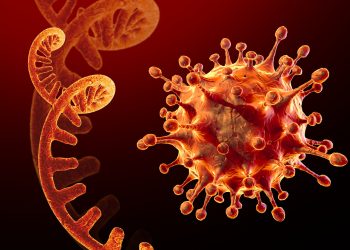 ओमिक्रोन भेरियन्ट – उच्च सतर्कता अपनाउन सरकारको आग्रह