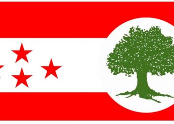 नवलपरासीको बौँदीकाली ४ र ६ मा कांग्रेसको प्यानल नै विजयी