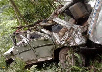 इलाममा सवारी दुर्घटना – १३ जना यात्रु घाइते, ३ को अवस्था गम्भीर