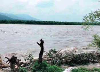 सप्तकोसी नदी बस्ती पसेपछि स्थानीय सुरक्षित स्थानतर्फ लागे