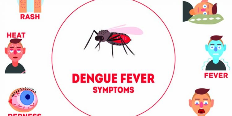 ७५ जिल्लामा डेगु सङ्क्रमण पुष्टि, सतर्कता अपनाउन आग्रह