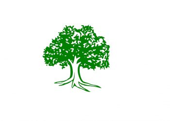 उम्मेदवारी फिर्ता लिन कांग्रेसले दियो ‘विद्रोही’ उम्मेदवारलाई कात्तिक ४ गतेसम्मको समय सीमा (विज्ञप्ति)