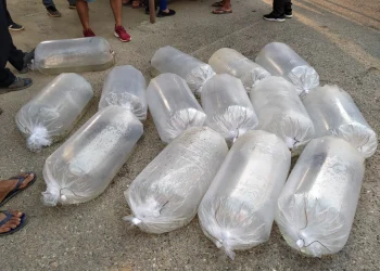 कृषकलाई माछाका भुरा वितरण