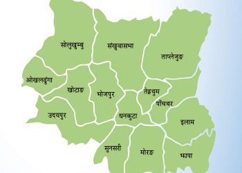 कोशी प्रदेश – पाँच वर्षमुनिका २० प्रतिशत बालबालिकामा पुड्कोपनको समस्या