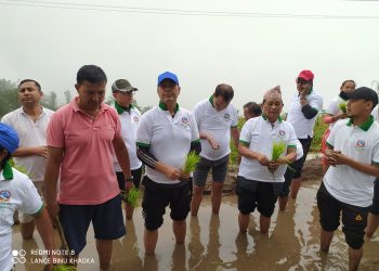 इलाममा पनि मनाइयो धान दिवस
