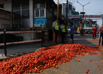 गोलभेँडा सडकमा फालिएको विषयमा छानबिन गर्न समितिको निर्देशन