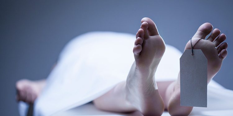 सर्पको टोकाइ बाट झापामा एक व्यक्तिको मृत्यु