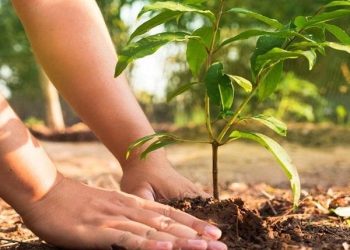 ‘भावी सन्ततिका लागि वृक्षरोपण गरौँ’