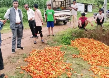 मेचि राजमार्ग अबरुद्ध हंदा १ करोडको गोलभेडा नास