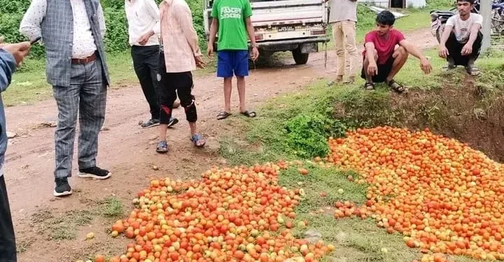 मेचि राजमार्ग अबरुद्ध हंदा १ करोडको गोलभेडा नास