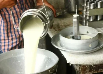 दूधको अनुदान कटौती गरेपछि किसानको विरोध