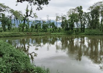 वन्यजन्तुका लागि सामुदायिक वनमा पोखरी