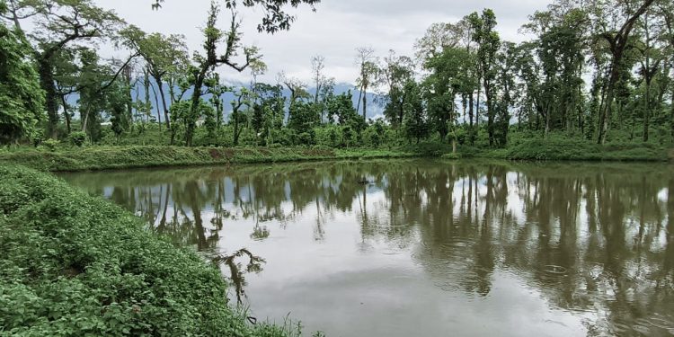 वन्यजन्तुका लागि सामुदायिक वनमा पोखरी