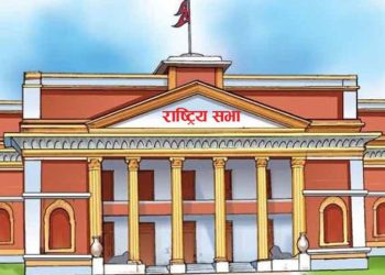 विद्युतीय व्यापार विधेयक राष्ट्रियसभामा पेस