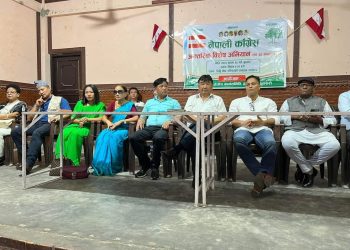 २०८४ को चुनाव कांग्रेसले एक्लै लड्छ : केन्द्रीय सदस्य  शेर्पा