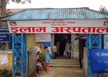 ईलाममा डेंगी रोग संक्रमितको संख्या बढ्यो