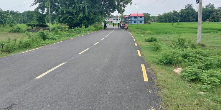 चुलाचुलीका सवै वडामा कालेपत्रे सडक