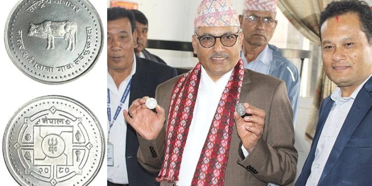 गाईको चित्र अङ्कित ‘सिक्का’को बिक्री सुरु