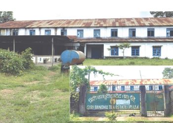 गिरीबन्धुको जग्गाका लागि बिर्तामोडका चारजना व्यवसायीसँग साढे ३७ करोड रुपैयाँ लिएको खुलासा