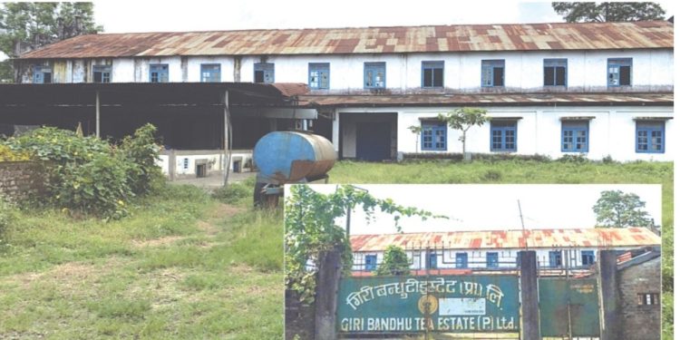 गिरीबन्धुको जग्गाका लागि बिर्तामोडका चारजना व्यवसायीसँग साढे ३७ करोड रुपैयाँ लिएको खुलासा