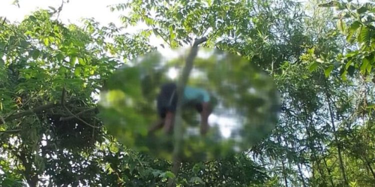 बाख्रालाई घाँस काट्ने क्रममा रुख माथि नै एक बृद्धको मृत्यु