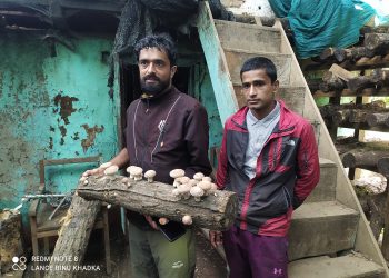 सिताकेमा भविष्य खोज्दै काफ्ले दाजुभाई