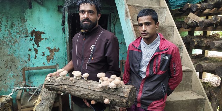 सिताकेमा भविष्य खोज्दै काफ्ले दाजुभाई