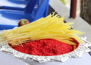 राष्ट्रपति पौडेलले सर्वसाधारणलाई दशैंको टीका लगाइदिने