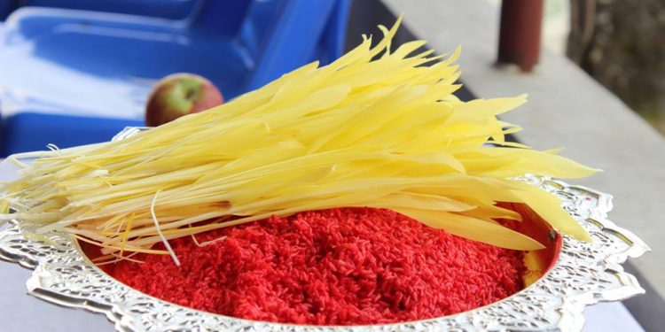 राष्ट्रपति पौडेलले सर्वसाधारणलाई दशैंको टीका लगाइदिने