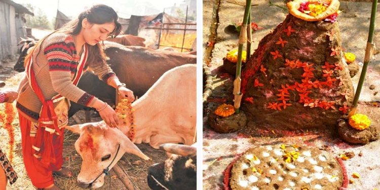 यमपञ्चक अर्थात् तिहारको चौँथो दिन आज गोवर्द्धन पूजा