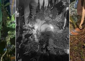 हात्तिको आक्रमणबाट इटहरीमा एकजनाको मृत्यु