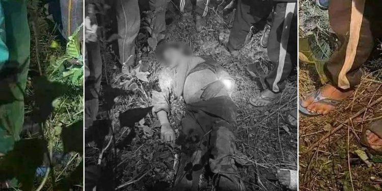 हात्तिको आक्रमणबाट इटहरीमा एकजनाको मृत्यु