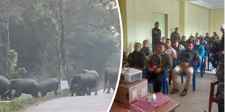 हात्ती र मानवबीचको द्वन्द्व कम गर्न कोशी प्रदेशका तीन जिल्लामा प्रशिक्षण