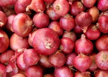 भारतले प्याँज निर्यात प्रतिबन्धले नेपाललाई ठाडो असर, बढने नै भयो प्याँजको भाऊ