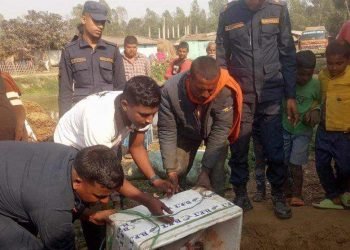 बल्ल लाग्यो घैंटोमा घाम, रौतहट प्रहरीद्वारा भारतीय माछा नष्ट