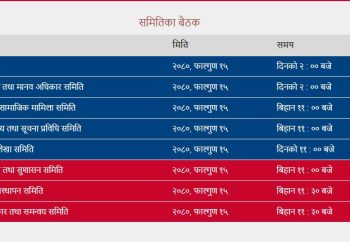 संघीय संसदका ८ समितिका बैठक एकैपटक बस्दै