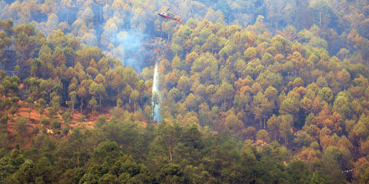 वैशाखसम्म डढेलोको उच्च जोखिम –  डढेलो बढ्ने चेतावनी