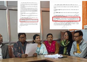 मेयर पौडेलले आफू अनुकुल फैसला गराउन अदालतमा किर्ते ऐन पेस गरे – उपमेयर चौधरी