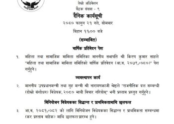 प्रतिनिधिसभा बैठक बस्दैँ