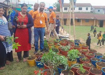 लक्ष्मी सनराईज बैंक ईलाम शाखाद्वारा वृक्षारोपण