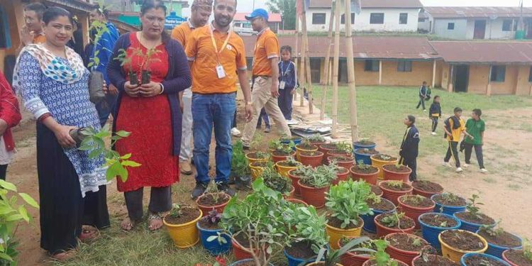 लक्ष्मी सनराईज बैंक ईलाम शाखाद्वारा वृक्षारोपण