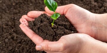 आज अन्तरराष्ट्रिय स्वयंसेवक दिवस, विश्व माटो दिवस पनि आजै