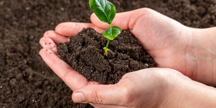 आज अन्तरराष्ट्रिय स्वयंसेवक दिवस, विश्व माटो दिवस पनि आजै